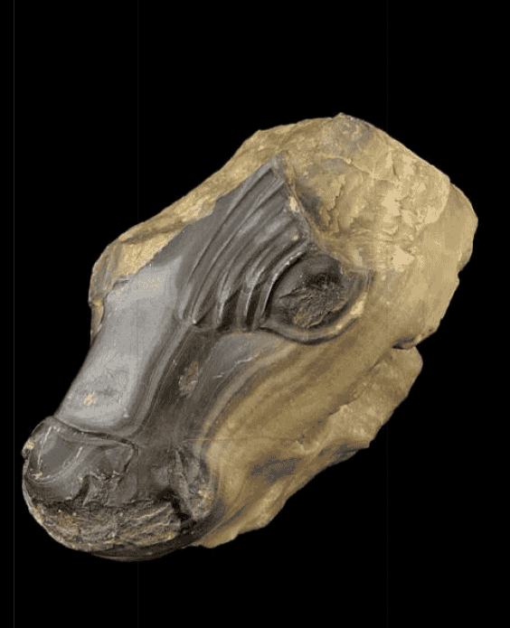 تمثال حيواني
